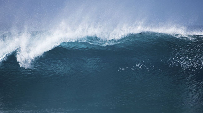 The Rise of Secularism