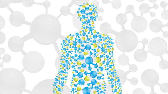 Questions on Molinism, Personhood, and Answering Critics