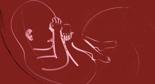 Questions on Atheism, Abortion and Molinism