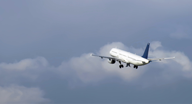 A Heartbreaking Letter From Indonesia