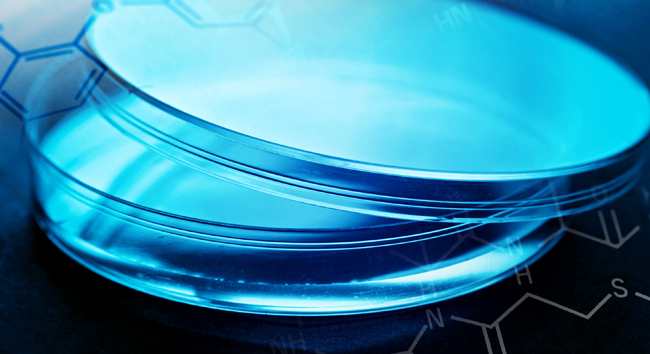 Questions About Science and Certainty