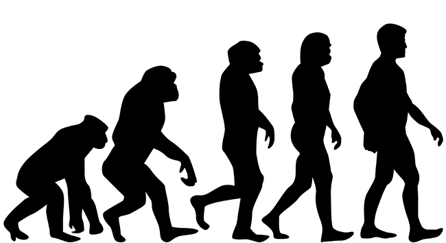 The New Theistic Evolutionists